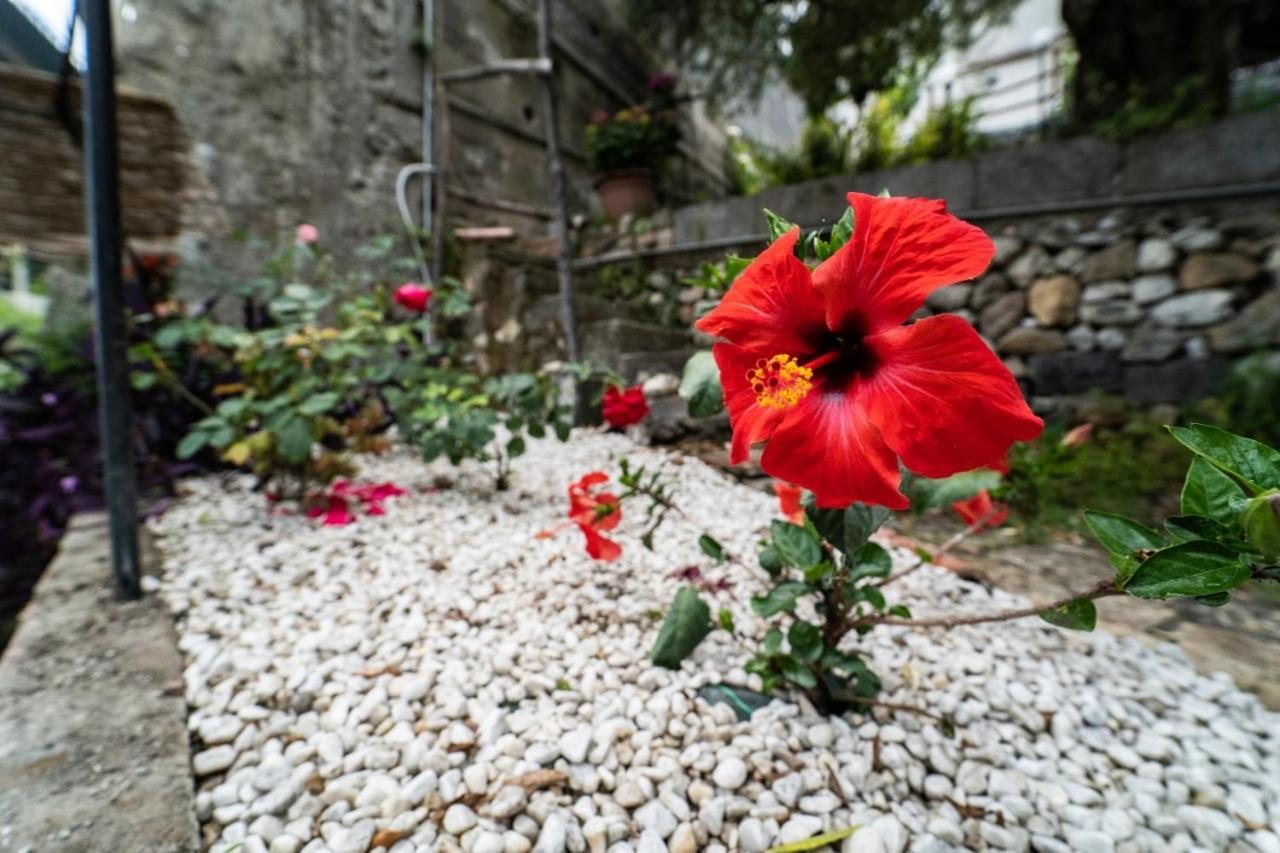 Holiday home Villetta La Pietra *
